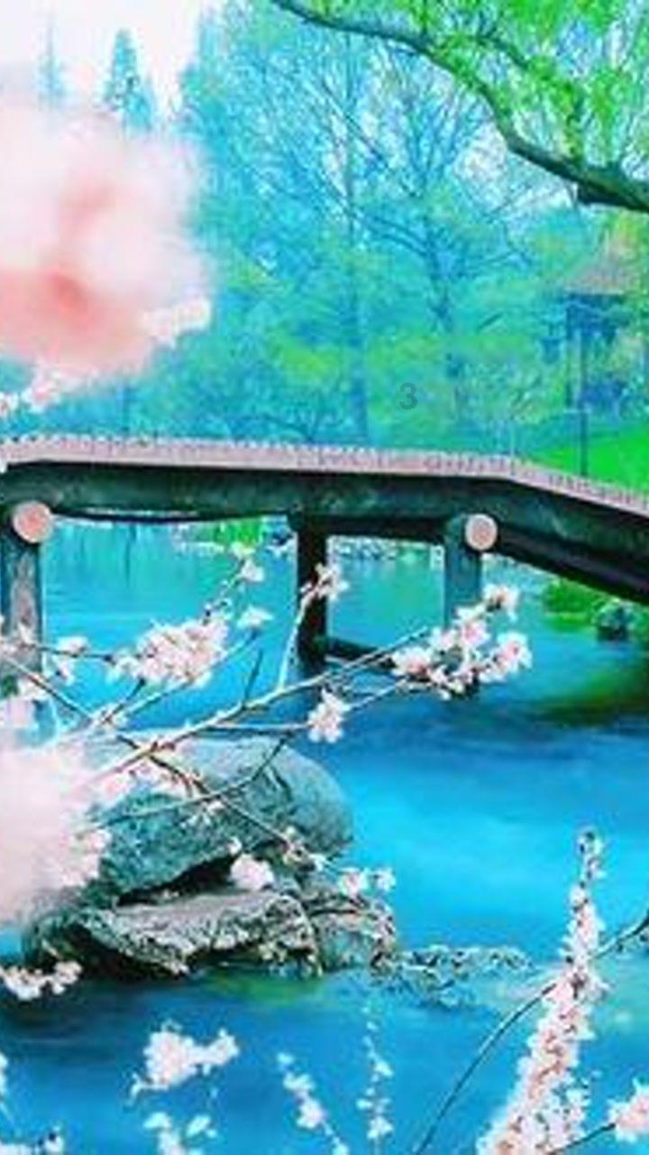 要是对方不急谈恋爱怎么办红迪网——一个汇聚你所需的全新社区